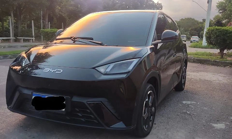 Byd Dolphin Mini (El...