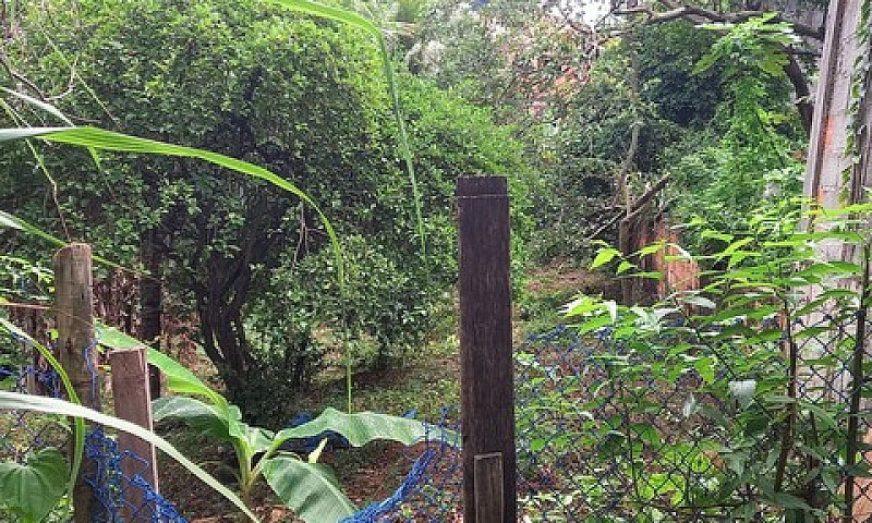 Duas Casas Em Bela V...