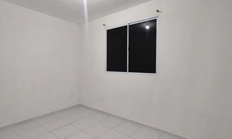 Pernambuco - Camarag...