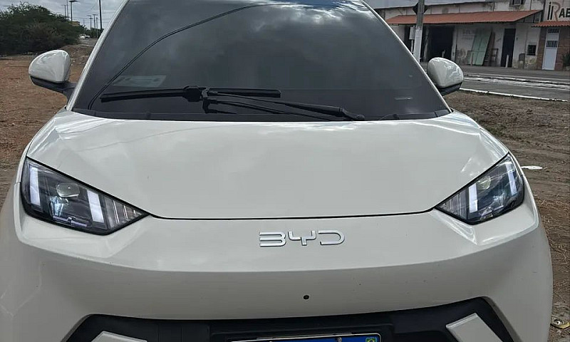 Byd Dolphin Mini (El...