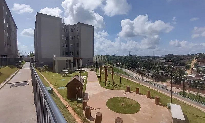 Pernambuco - Camarag...