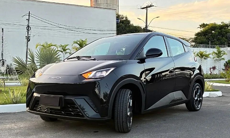 Byd Dolphin Mini (El...
