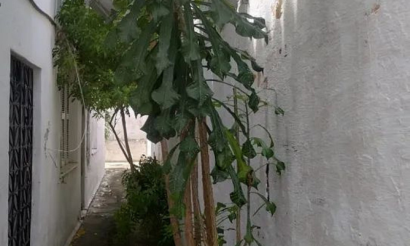 Apartamento Direto C...