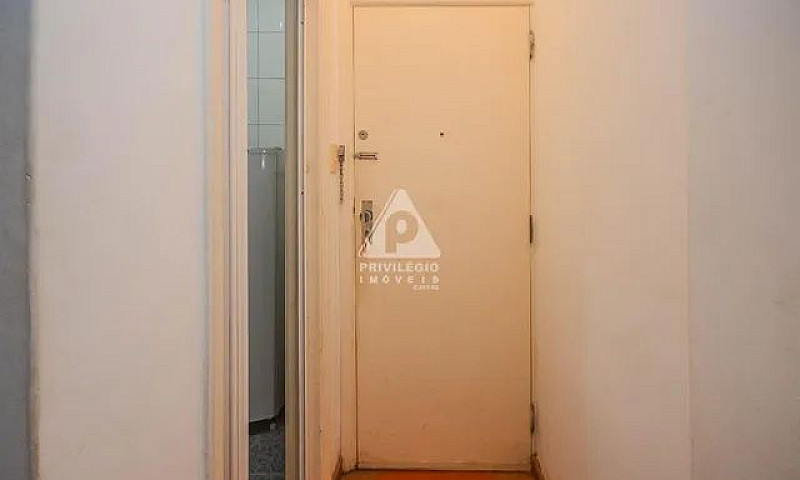 Prado Júnior Excelen...