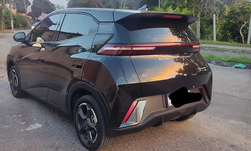 Byd Dolphin Mini (El...