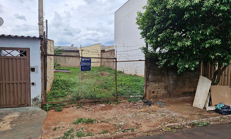 Oportunidade Única  ...