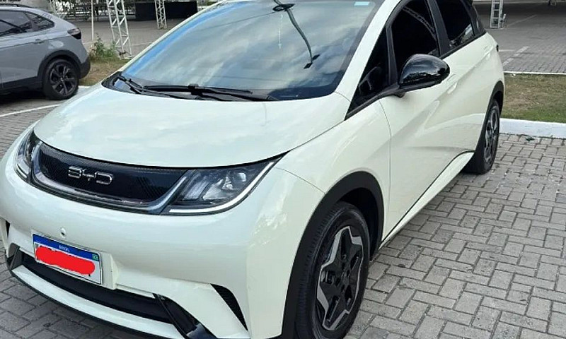 Byd Dolphin Ev (Elét...
