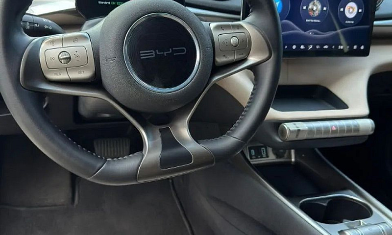 Byd Dolphin Ev (Elét...