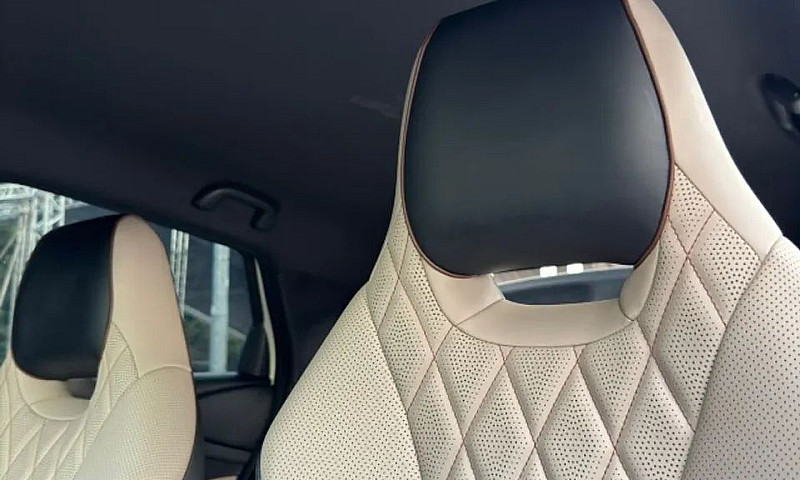 Byd Dolphin Ev (Elét...