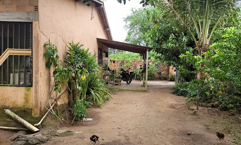 Venda...