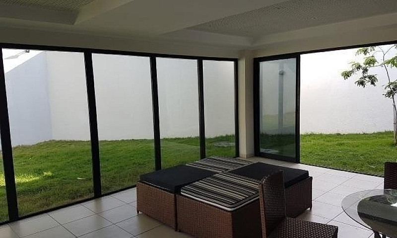 (La) Adauto Guimarãe...