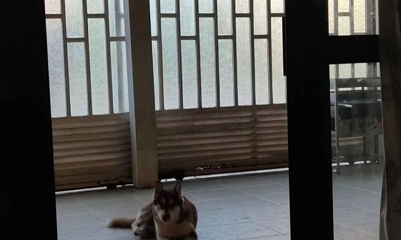 Vendo Casa No Varjao...