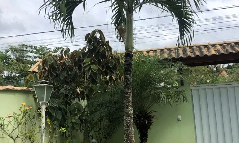 Alugo Linda Casa Com...