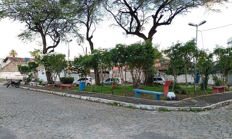 Oportunidade Única 3...