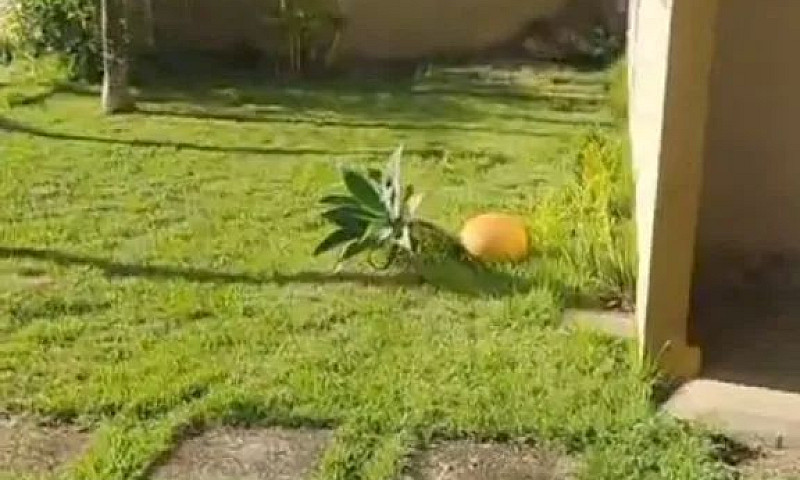 Recanto Beija-Flor. ...