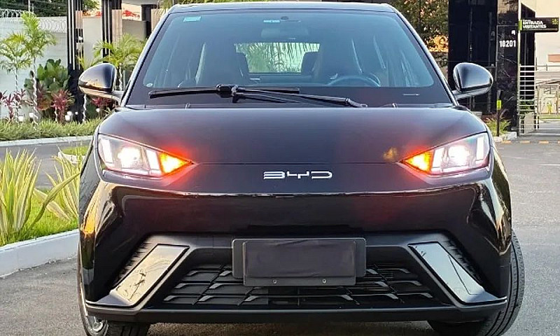 Byd Dolphin Mini (El...