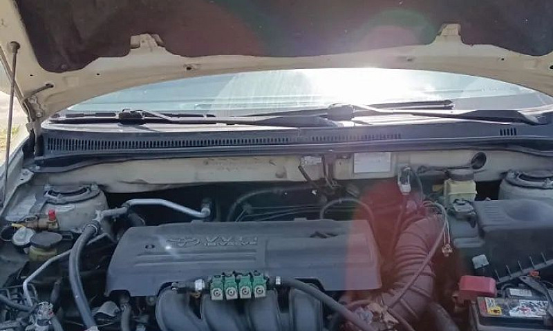 Toyota Corolla Field...