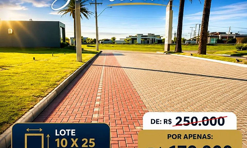 Lote De Barbada No S...