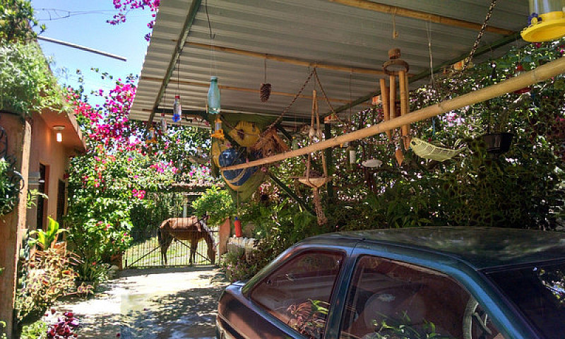 Casa E Natureza Exub...