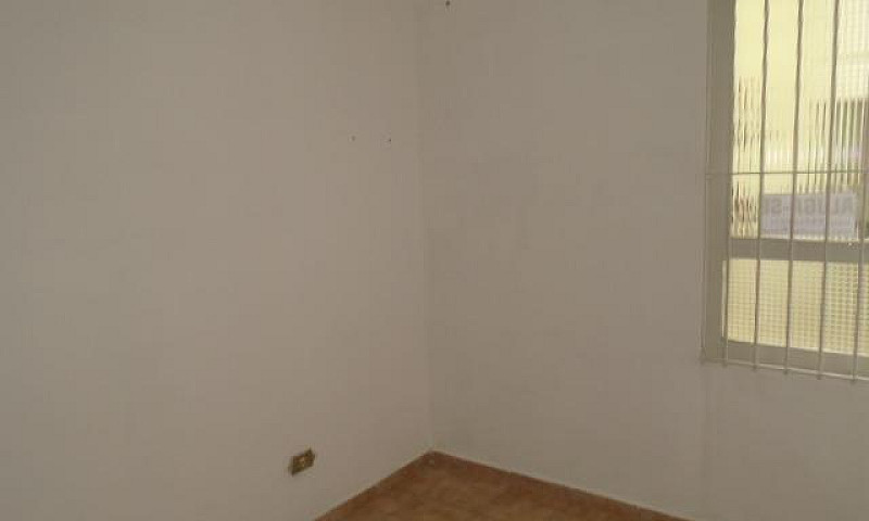 Apartamento No Jardi...