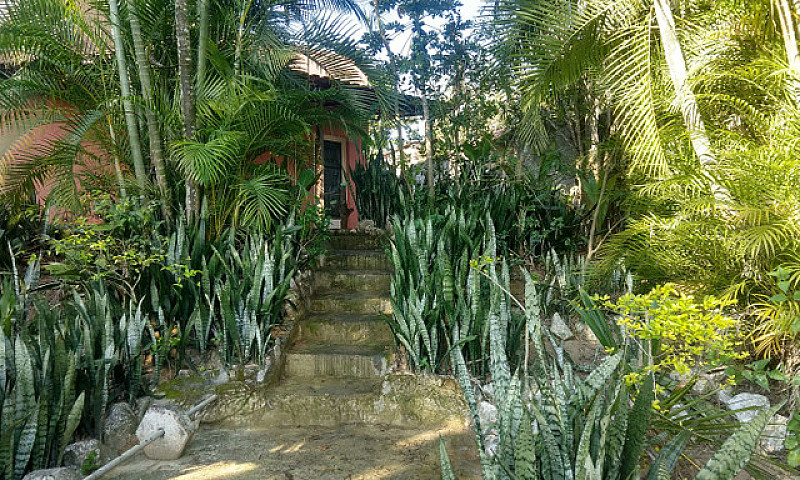 Casa E Natureza Exub...