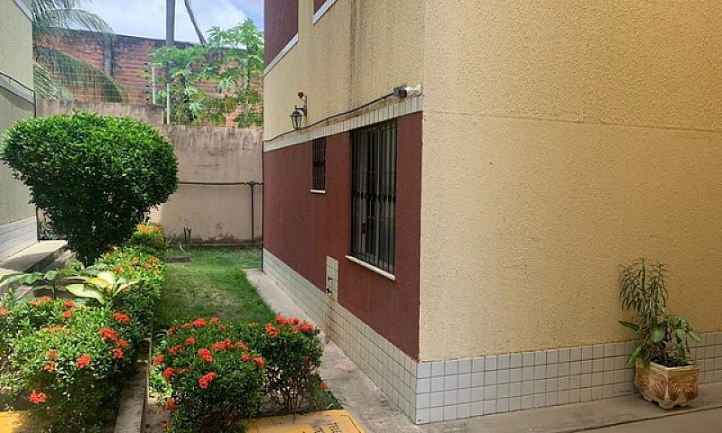 Apartamento Terreo N...