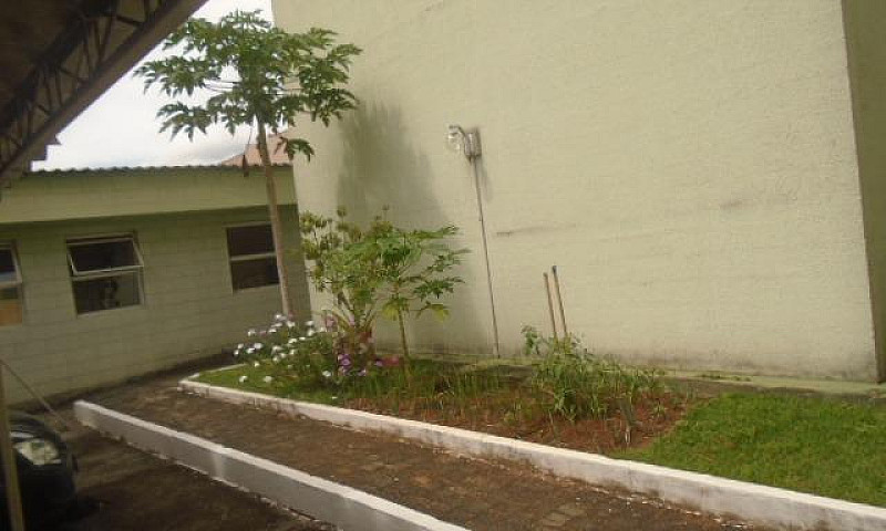 Apartamento No Jardi...