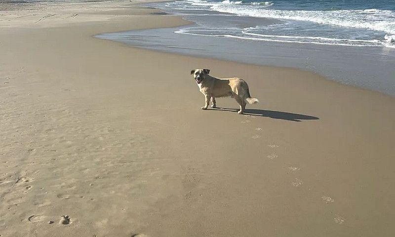Casa Próx A Praia+ G...