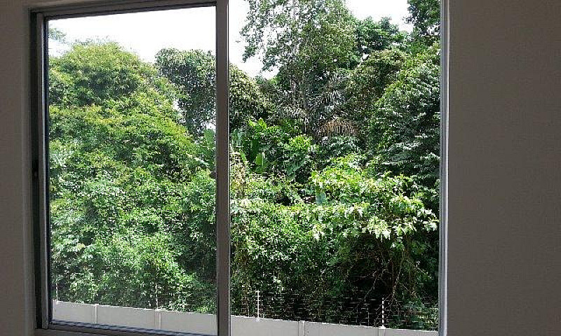 Alugo Apartamento No...