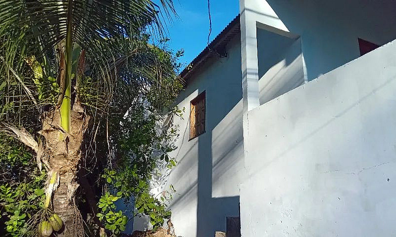 Casa Em Frente À Uni...