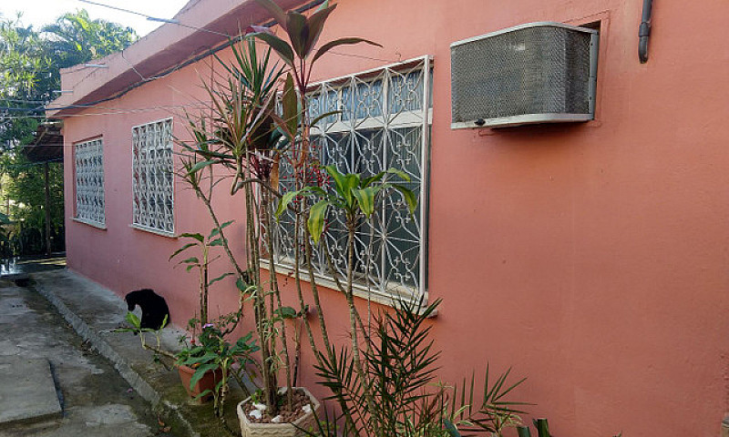 Casa E Natureza Exub...