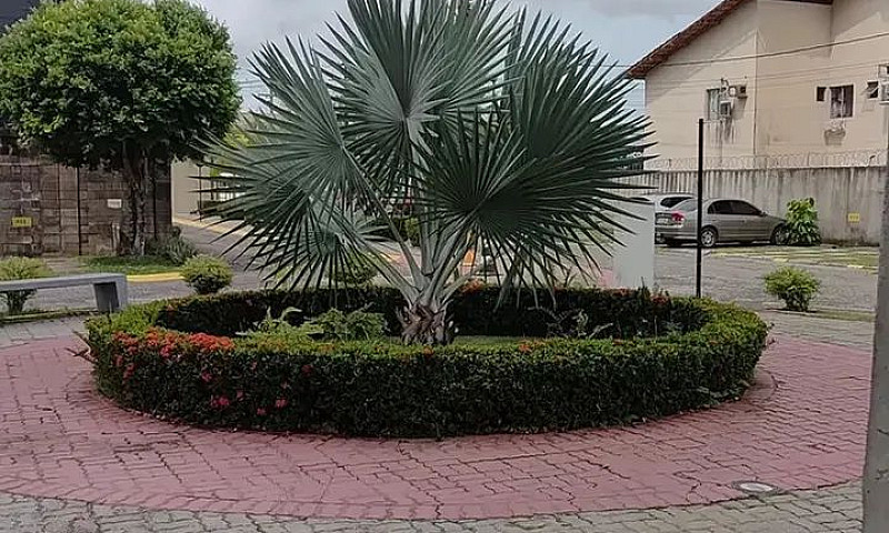 Ey 09 Alugo Apartame...