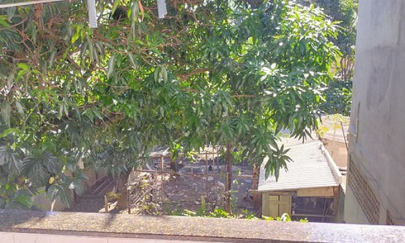 Mini Sítio Em Parque...