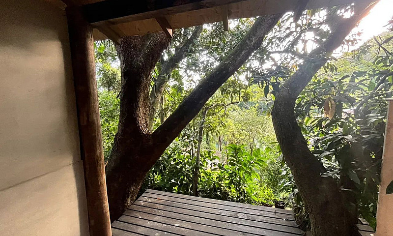 Casinha Geminada Em ...
