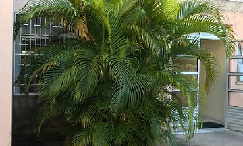 Condomínio Terra Do ...