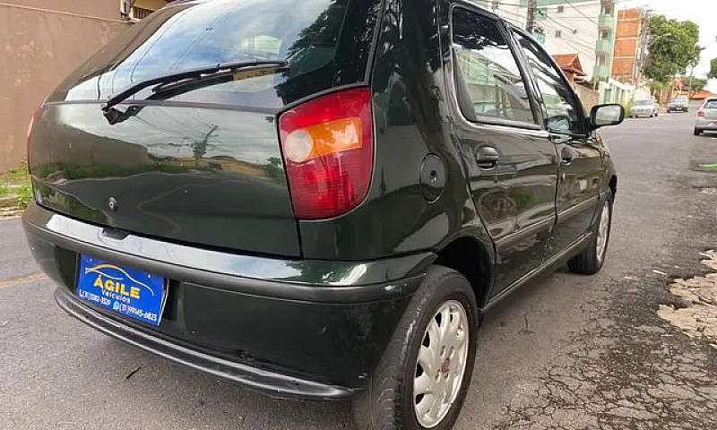 Palio Elx...