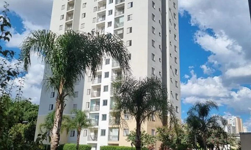 Apartamento - Lapa D...