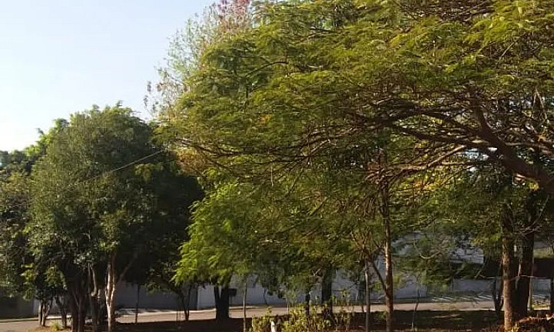 Oportunidade 2 Casas...