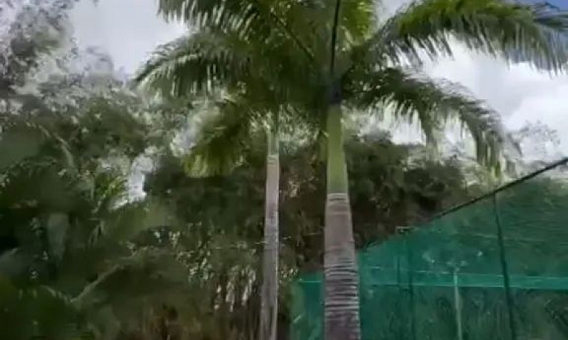 Casa Condomínio  Mon...