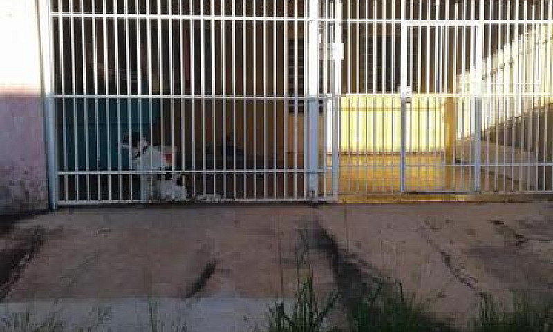 Casa De 2 Quartos ( ...