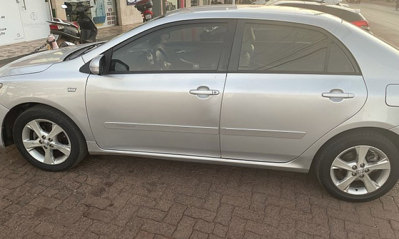 Corolla Lacrado, (Po...
