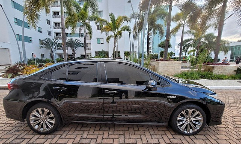 Corolla Hydrido 2020...