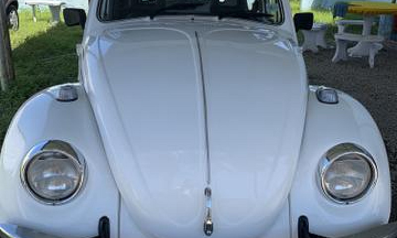 Fusca 1300L 1979 Col...