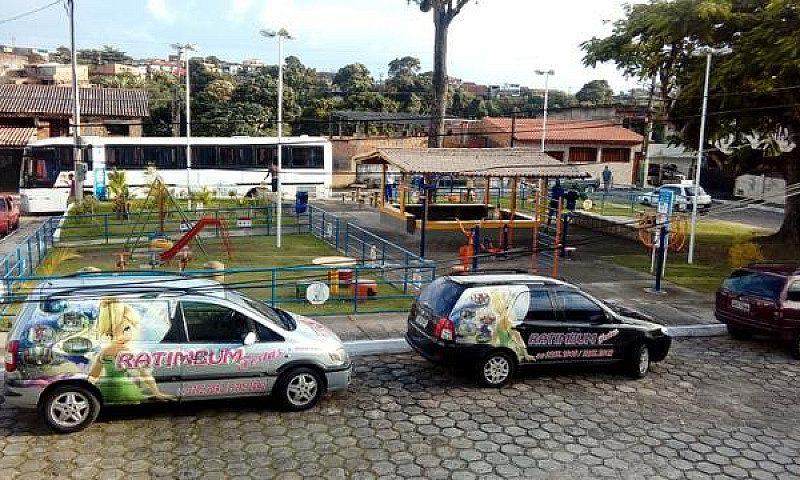 Casa Em Castelo Com ...