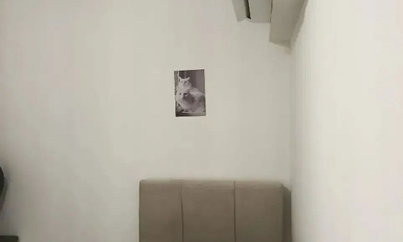Imóvel Para Aluguel ...