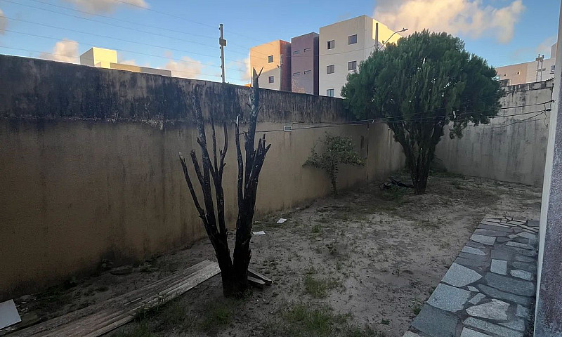Térreo Com Área Exte...