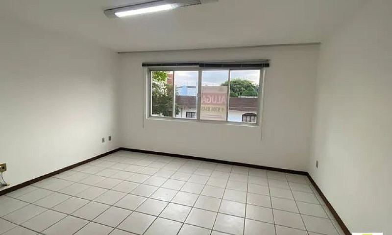 Alugo Apartamento Pa...