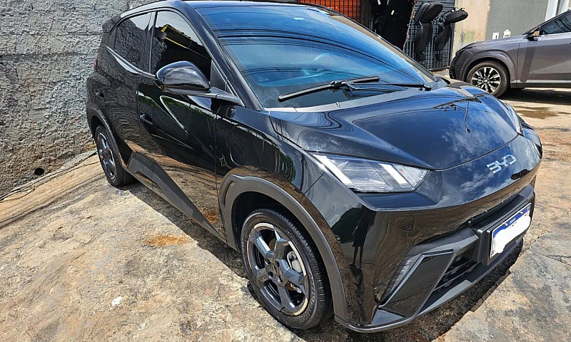 Byd Dolphin Mini (El...