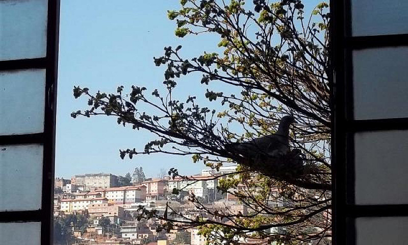 Apartamento No Estor...