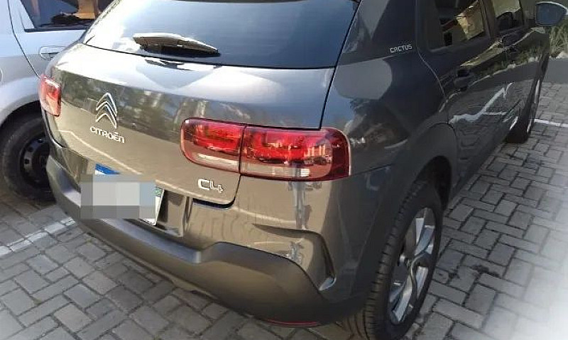 C4 Cactus 2020- Opor...